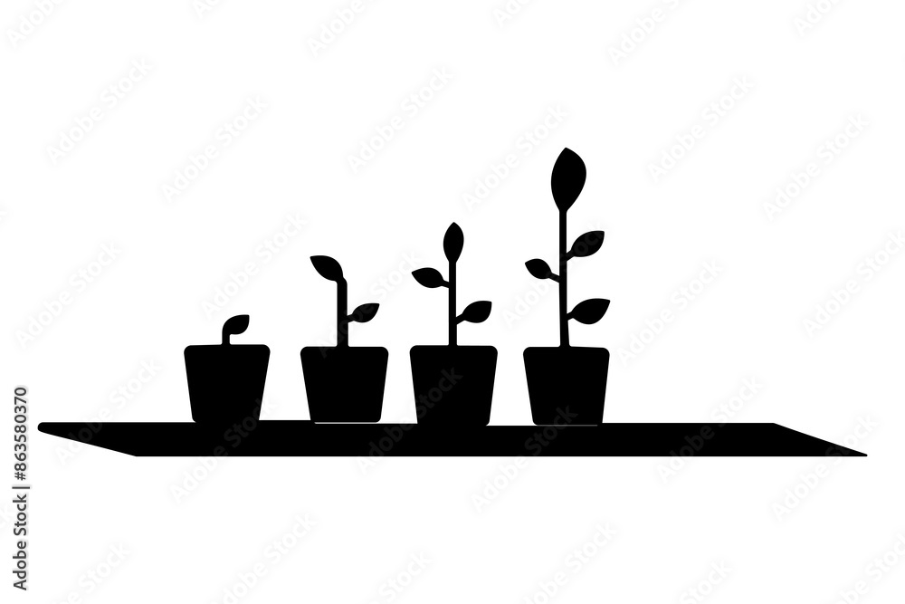 Plant growth process silhouette vector art drawing with outline illustration, Life cycle of silhouette plant growth stages Plant growth process silhouette vector art drawing with outline illustration, Life cycle of silhouette plant growth stages