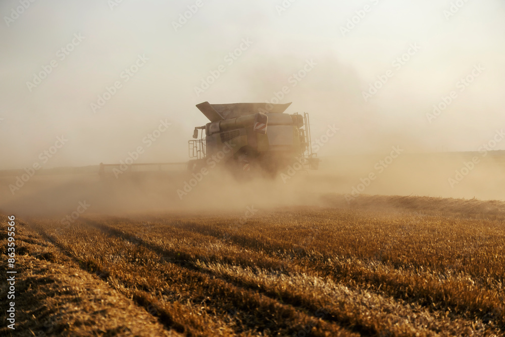 Combine harvester reaping wheat in field and making big cloud of dust at countryside. Combine harvester reaping wheat in field and making big cloud of dust at countryside.