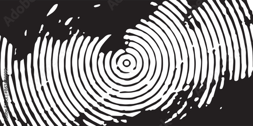 a set of black ink circles brush stroke bundle on a white background,black and white icons set, a set of black ink swirls on a white