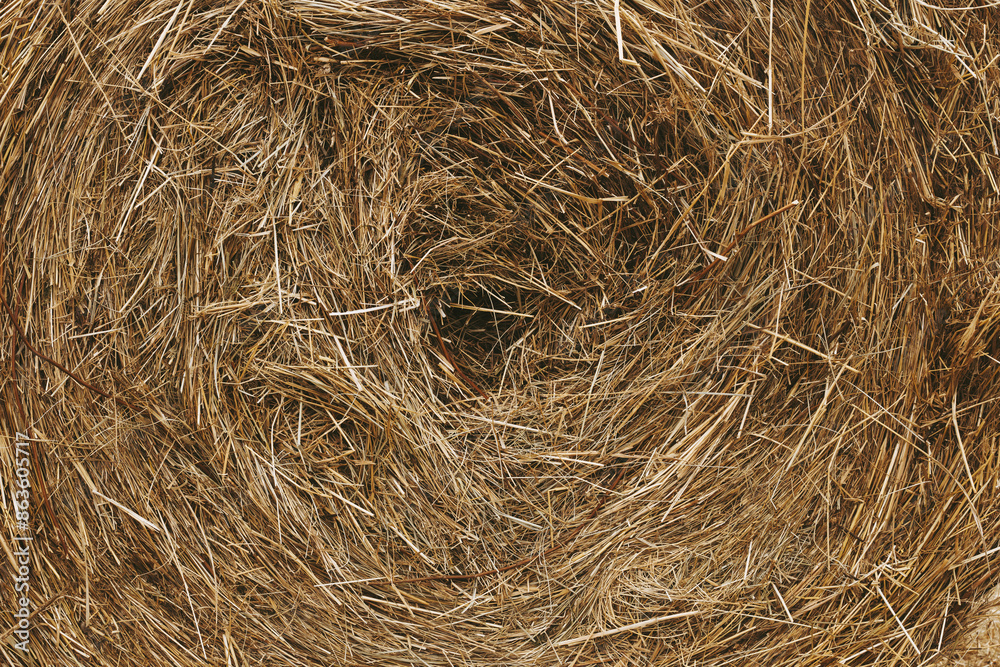 frame filling close up of a hay bale center frame filling close up of a hay bale center