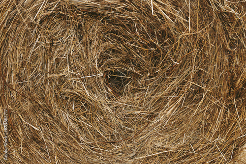 frame filling close up of a hay bale center