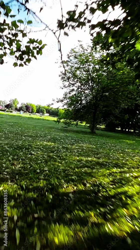 Immerse yourself in the tranquility of nature with this captivating video of a leisurely walk through a stunning park. The lush green trees, vibrant flowers, and tranquil lake create a serene Immerse yourself in the tranquility of nature with this captivating video of a leisurely walk through a stunning park. The lush green trees, vibrant flowers, and tranquil lake create a serene
