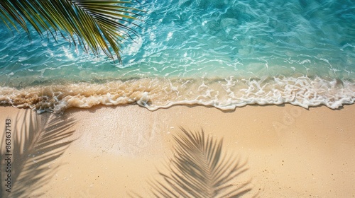 Deserted sandy beach with palm leaf shadow and clear water wave from above ideal for travel and relaxation with space for text