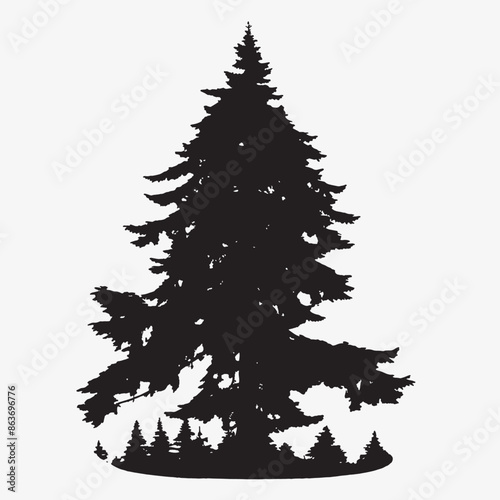 black silhouette of a alpine balsam tree in white background