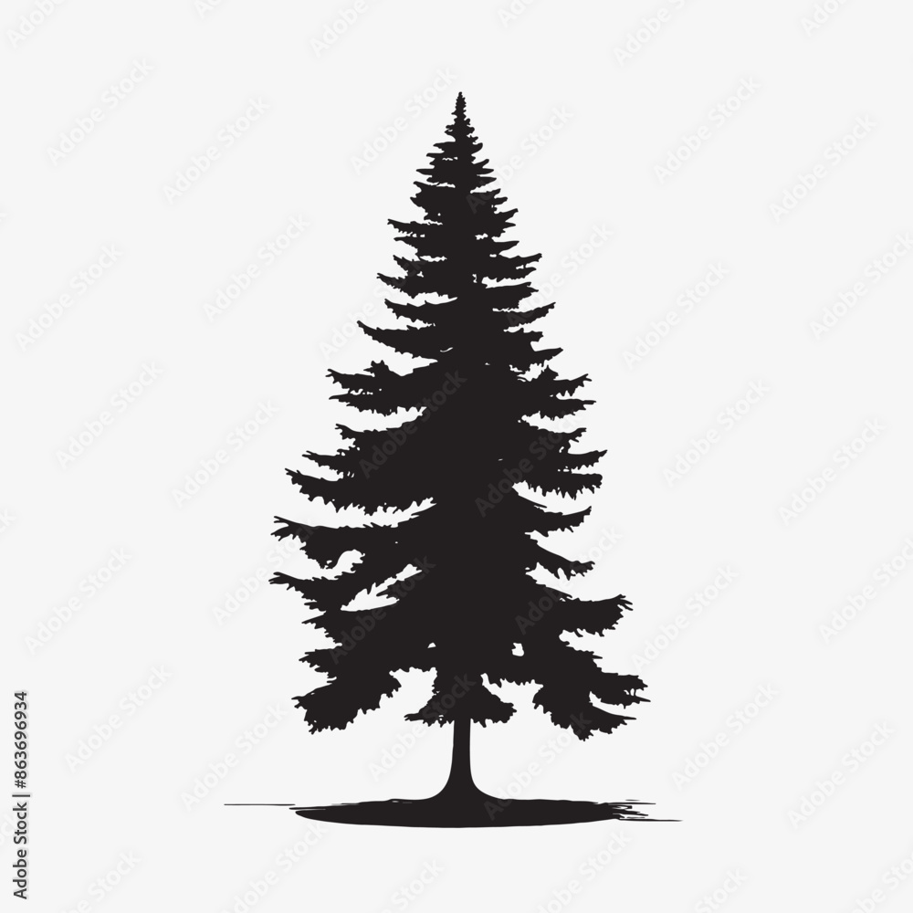 Obraz premium black silhouette of a alpine balsam tree in white background