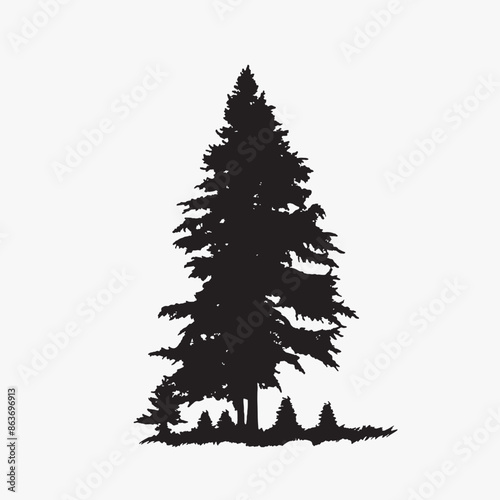 black silhouette of a alpine balsam tree in white background