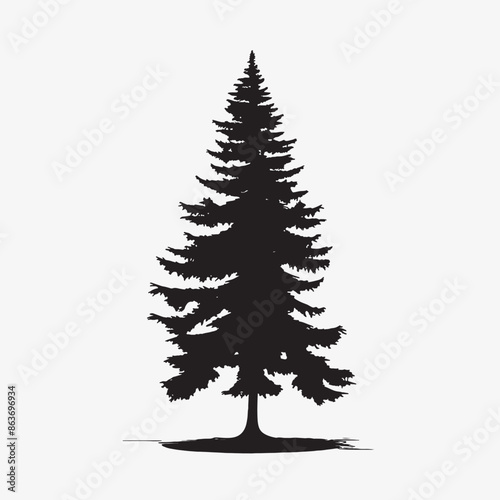 black silhouette of a alpine balsam tree in white background