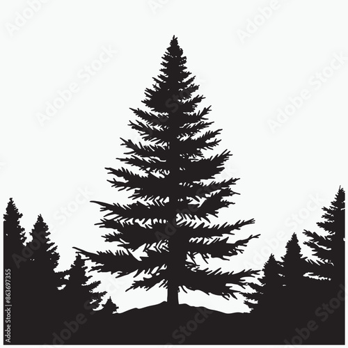 black silhouette of a alpine balsam tree in white background