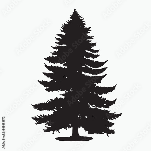 black silhouette of a alpine balsam tree in white background