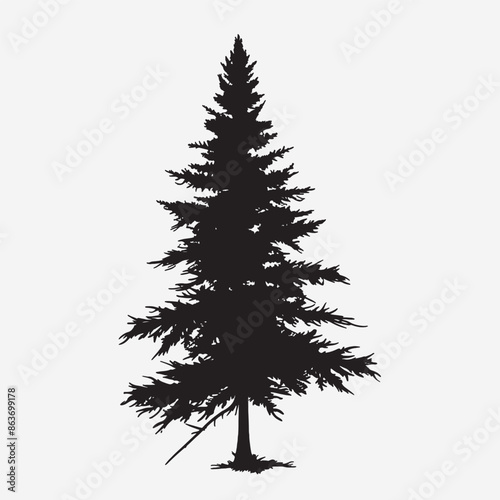 black silhouette of a alpine balsam tree in white background