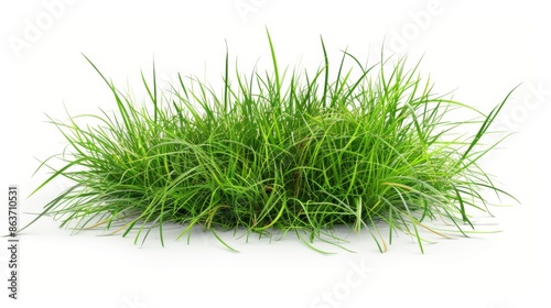 Grass isolated on white background. Illustration generatd by ai
