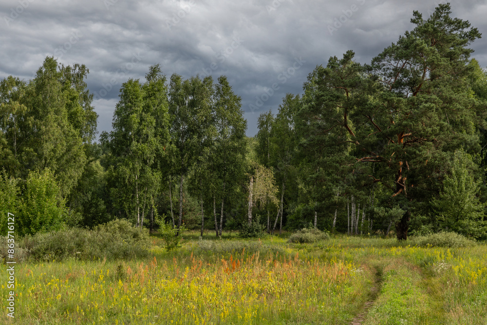 Storm clouds hung over the meadow and forest. It will rain soon. Storm clouds hung over the meadow and forest. It will rain soon.
