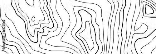 wood pulp pattern, Geometric Lines, tile floors, Illustration, vector, Geometry, geometric, alternating overlapping, orderly arrangement background, black and white, banner, website.