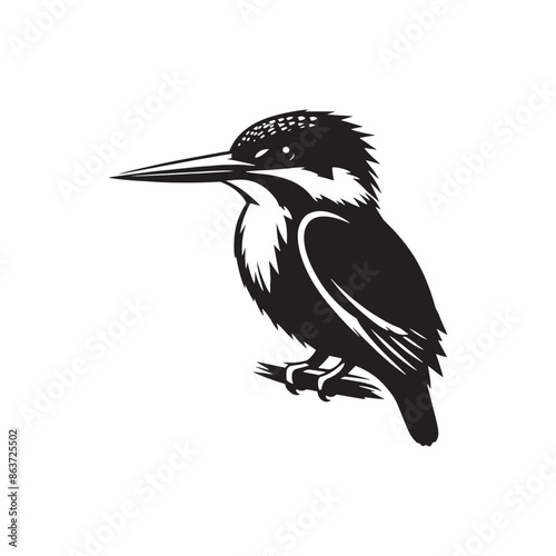 Kingfisher bird silhouette artwork - minimallest kingfisher vector
 photo