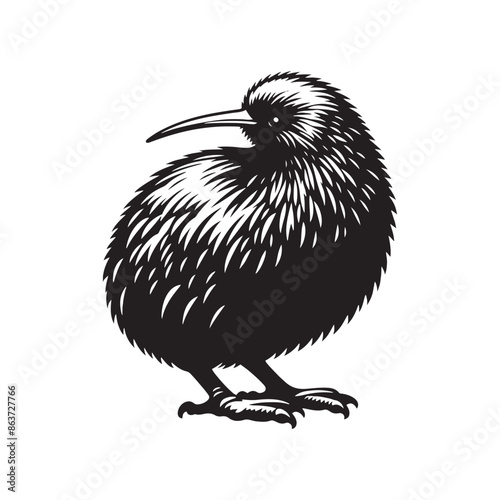 Kiwi silhouette shape variation - minimallest kiwi vector
