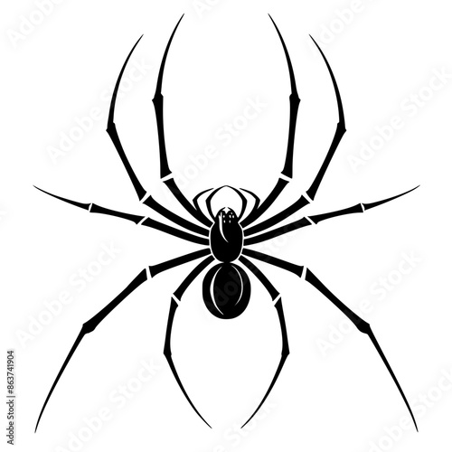 Black and White Spider Illustrations, Set of minimalist black and white illustrations of spiders, featuring clean lines and detailed designs, showcasing the intricate structure of these arachnids.
