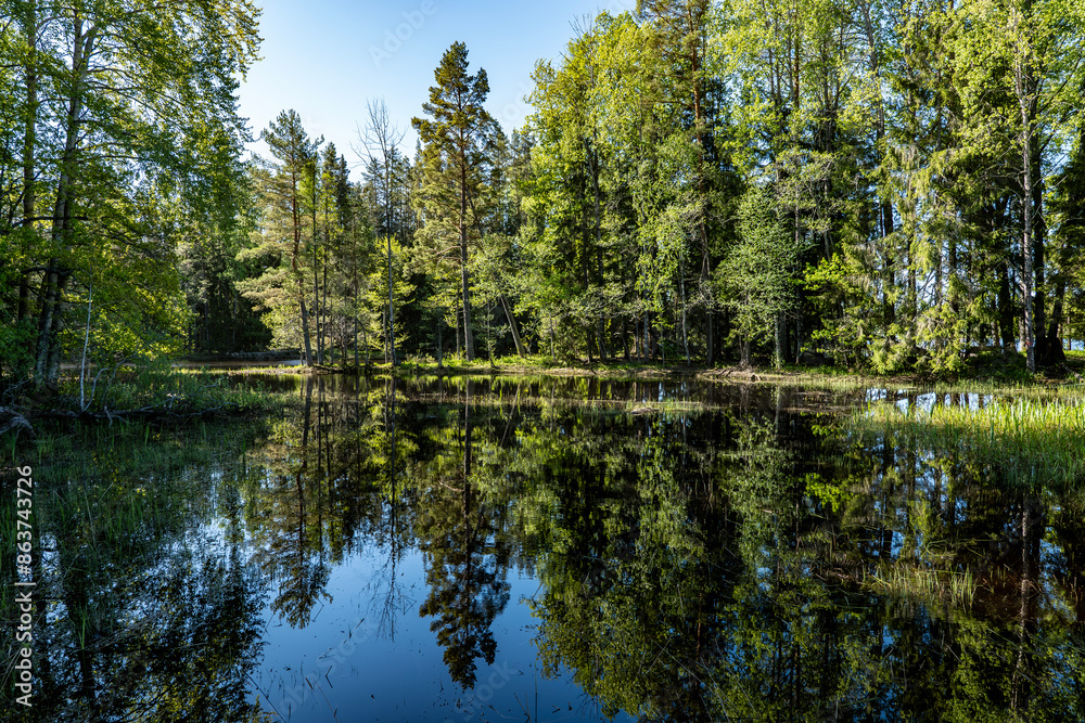 Scenic view of a salomon river labdscape in Fjarnebofjarden national park in north of Sweden Scenic view of a salomon river labdscape in Fjarnebofjarden national park in north of Sweden