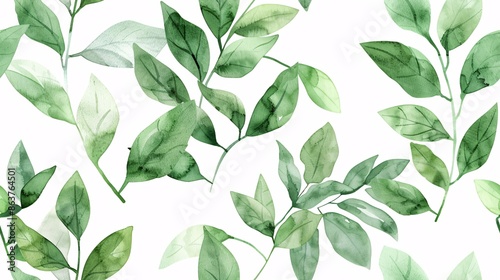 Floral design foliage branch watercolor leaf.
