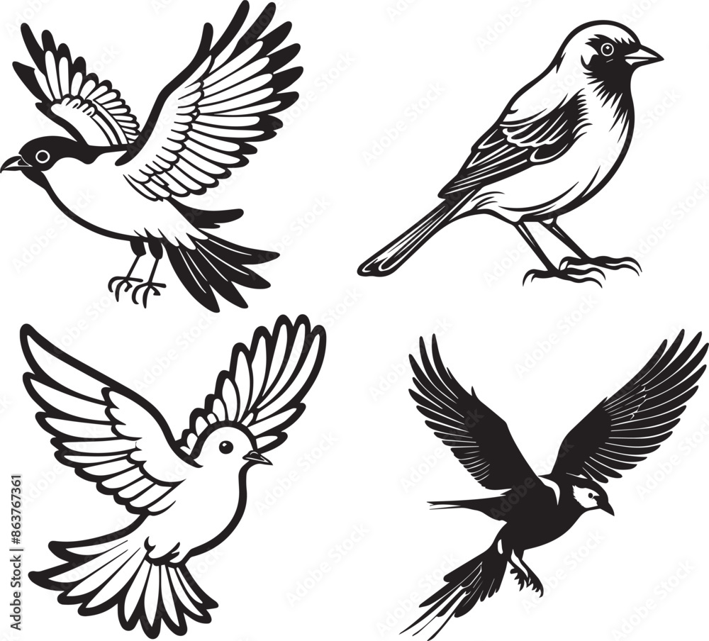Obraz premium Flying Birds animals art graphic resources vector Element image design