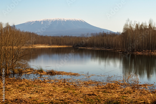 spring landscape with lake and mountain