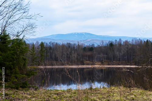 spring landscape with lake and mountain