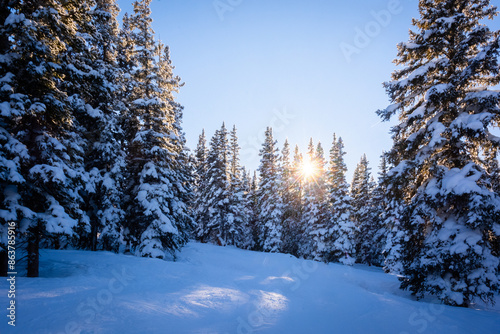 Winter Sunset with Snow-Covered Pine Trees photo