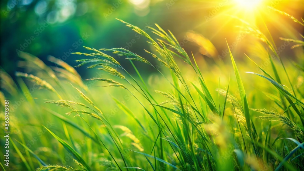 Vibrant green blades of grass sway gently in the breeze, illuminated by warm sunlight, against a soft, blurred background. Vibrant green blades of grass sway gently in the breeze, illuminated by warm sunlight, against a soft, blurred background.