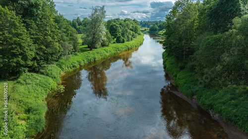 river in the forest