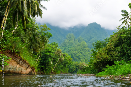 tropical jungle landscape