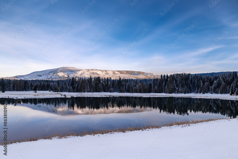 Fototapeta premium Winter Landscape