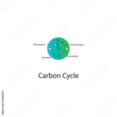 Diagram showing carbon cycle - conversion from CO2 to CH2O and Methane - via bacteria - Autotorphs, Heterotorphs, Methanogens and Methanotorphs photo