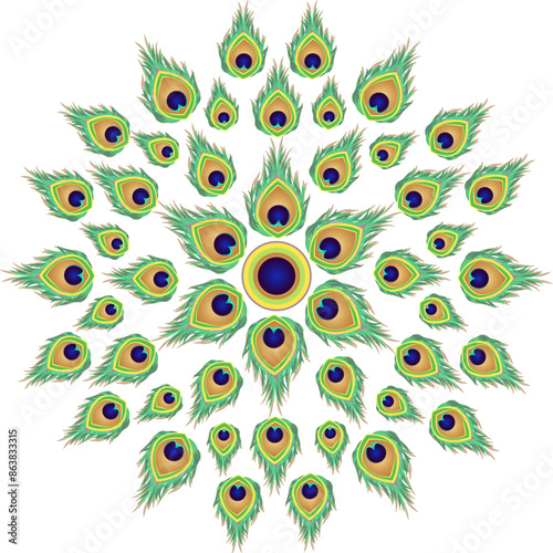 Peacock’s Tail Peacock Feather Mandala Blue Eye Feathers Peacock Feather Fan Feathered Circle