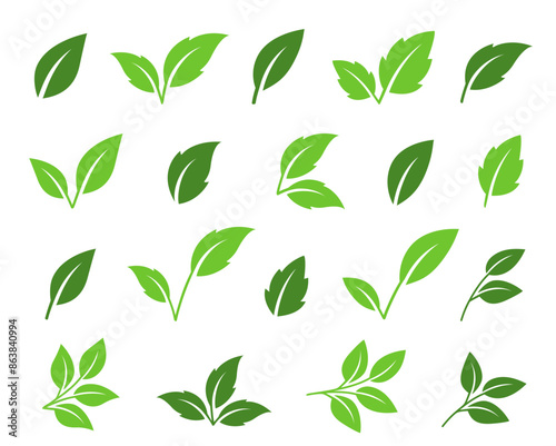 vector set of green leaf, letter v, plant branches and tea twig