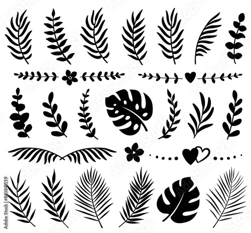 Tropical summer set palm eucalyptus branches leaves silhouettes