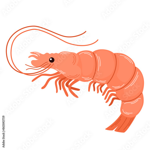Shrimp, raw fresh seafood. Whole prawn with antennae, head, eyes, legs and tail. Sea food drawn in doodle style. Flat vector illustration isolated on white background