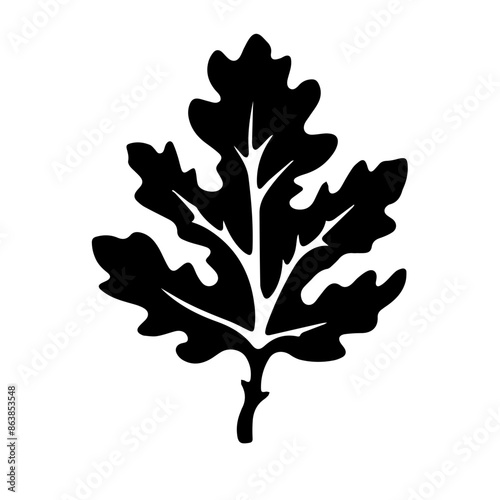 Black silhouette of an oak leaf