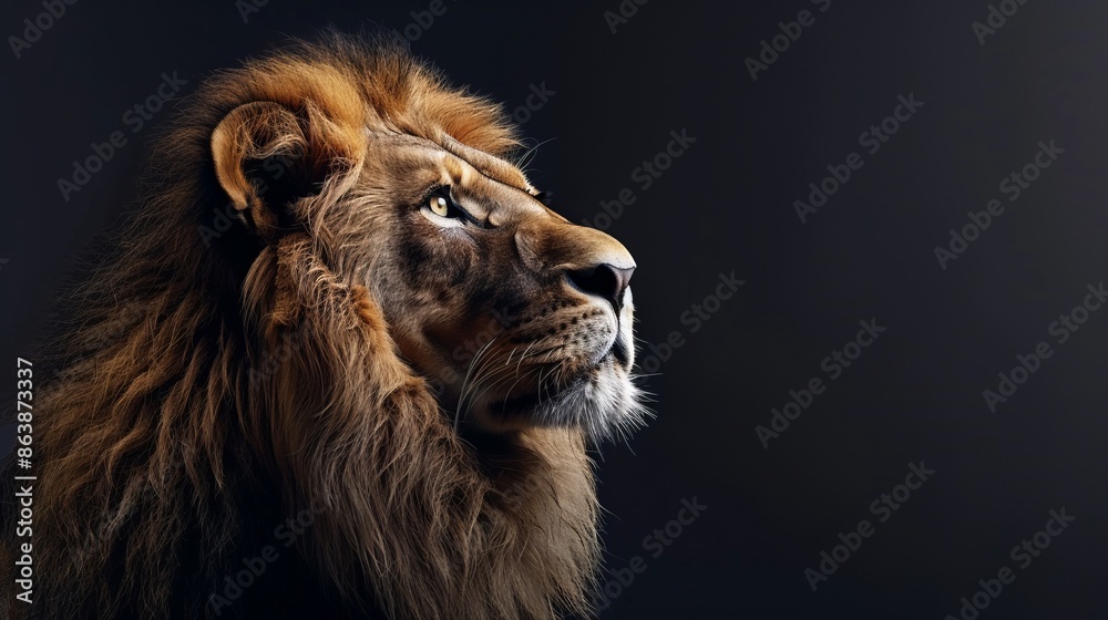 Fototapeta premium A majestic lion, symbol of strength and courage