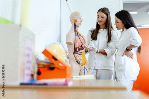 Two young medical students in white coats are closely examining a human anatomical model within a classroom setting, focusing on the anatomy of the human body.