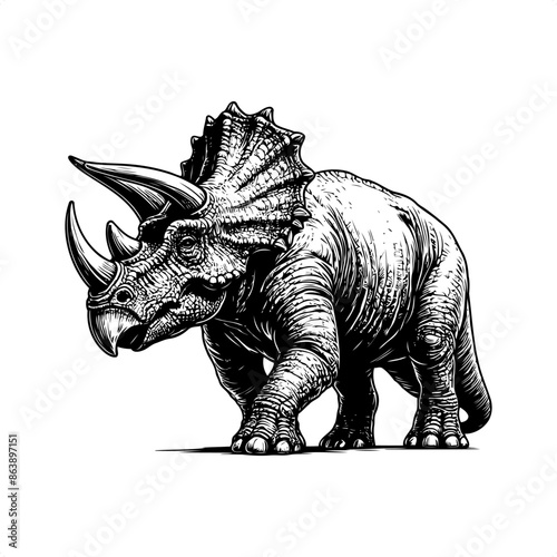 Triceratops in black and white animal illustration