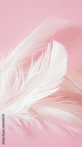 Feather on pink background wallpaper banner