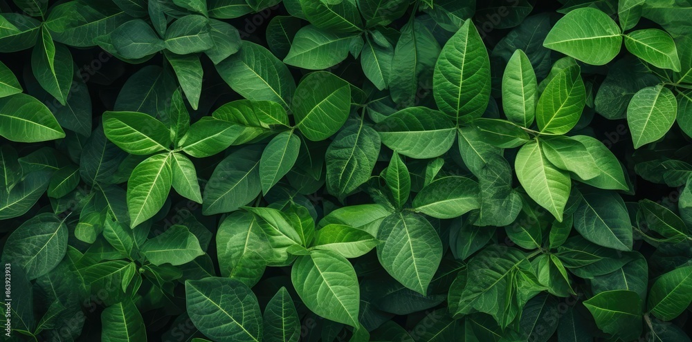 Green Leaf Texture Background Illustration Green Leaf Texture Background Illustration