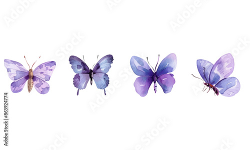 
Lavender flowers and butterflies, watercolor illustration set on white background. Hand drawn design elements for summer wedding invitation card or poster, digital art style, detailed illustration, 