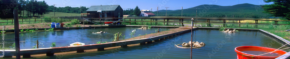 Obraz premium Coastal Charm: Touring a Seafood Farm in Maine with Fresh Lobster Ponds and Oyster Beds