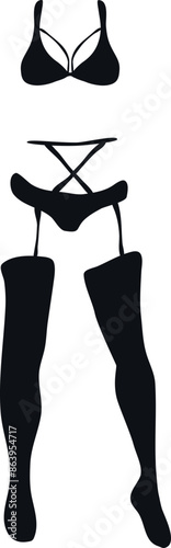Sexy black female lingerie isolated or white background. Lingerie vector illustration.