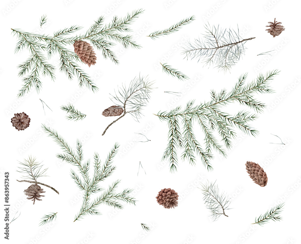 Watercolor set of Christmas tree and pine branches, needle. Hand ...