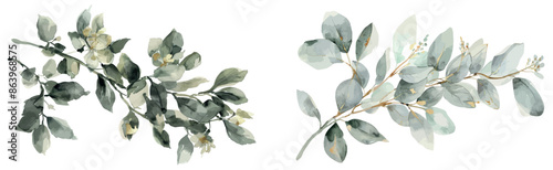 Arrangement of leaves and herbs in watercolor. Illustration of herbs and leaves for a wedding or greeting card.