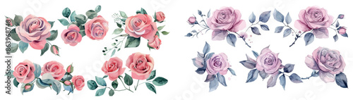 The set of watercolor arrangements with roses is on white background with garden pink flowers, leaves, branches and botanical illustrations.