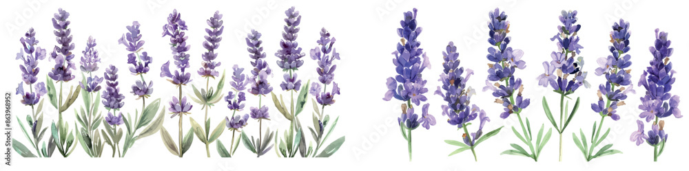 Obraz premium Delicate floral bouquet on white background. Spring summer banner template with lavender watercolor background.