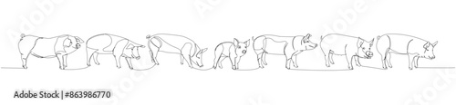 pig set, wild boar, livestock, piglet one line art. Continuous line drawing of farm, nature, agriculture, farm animals, rural life, ranch.