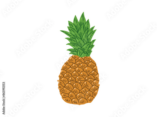 Hand-drawn pineapple colored sketch. Isolated vector ananas illustration. Whole tropical fruit, food sketch.